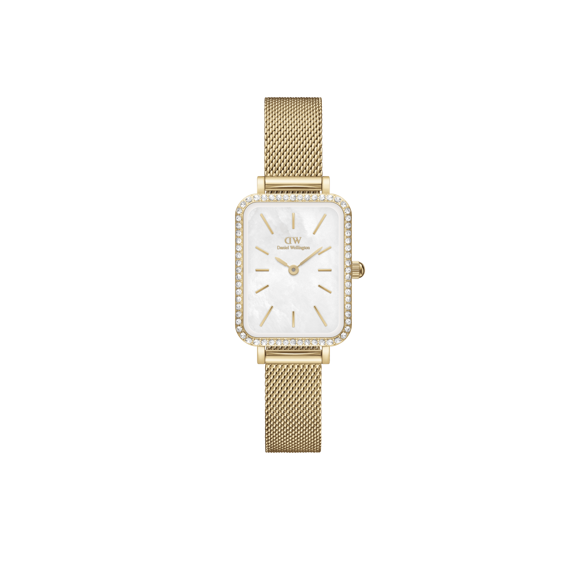 Dw evergold 2024